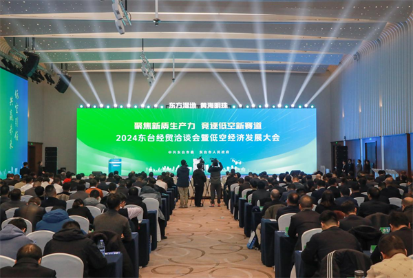 低空经济： 东台经洽会暨低空经济发展大会举办