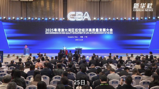 2025粤港澳大湾区低空经济高质量发展大会在广州举行
